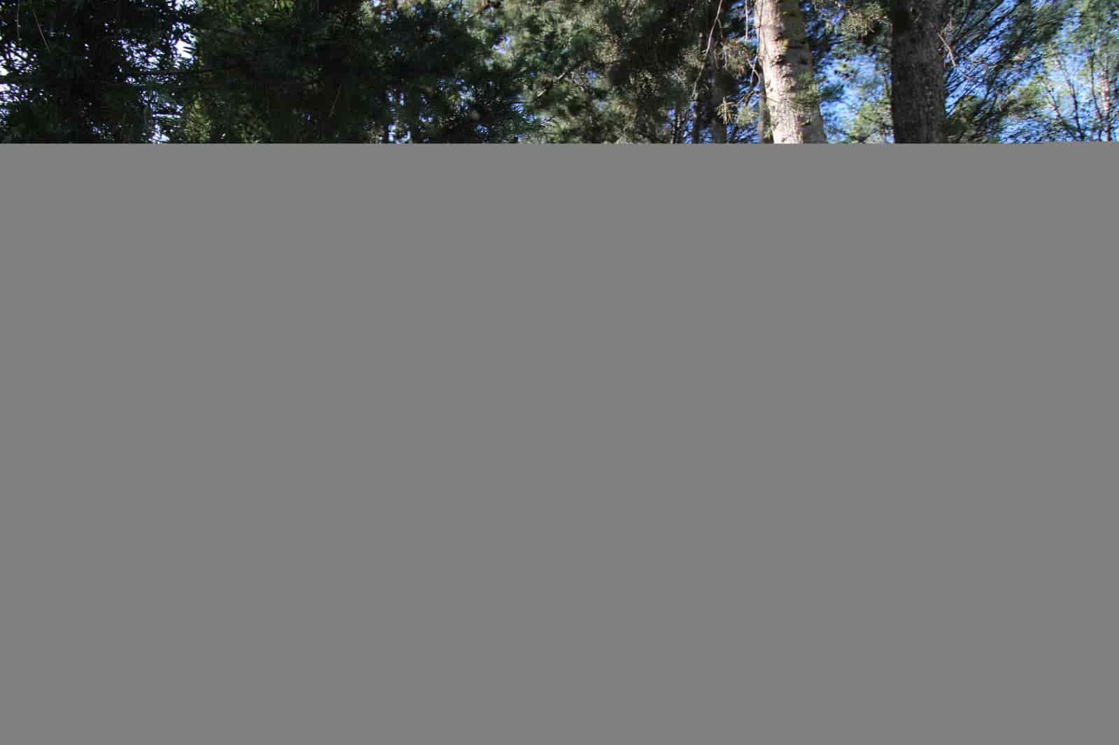 3 bedroom Finca/Country House for sale in Ronda with pool - € 525,000 (Ref: 9685238)