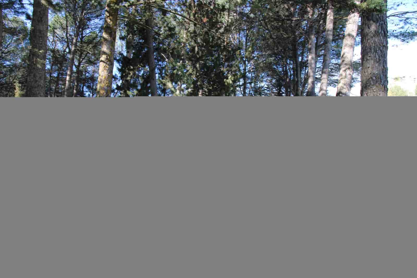 3 bedroom Finca/Country House for sale in Ronda with pool - € 525,000 (Ref: 9685238)