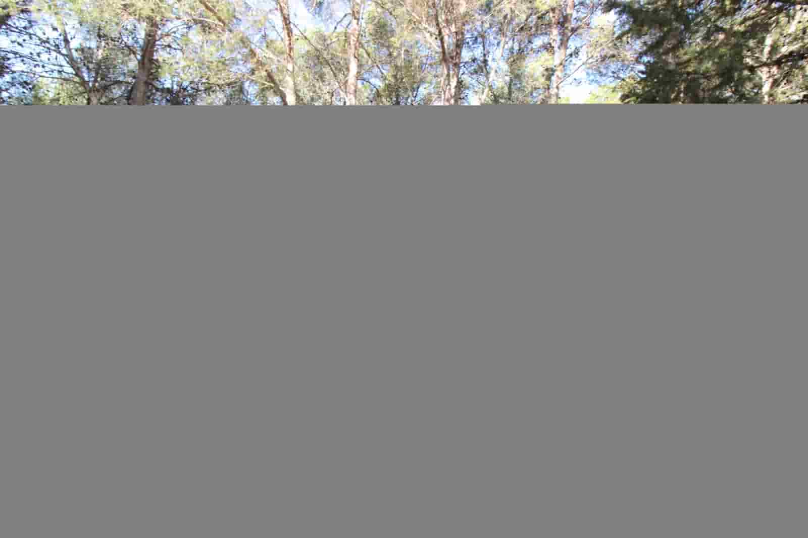 3 bedroom Finca/Country House for sale in Ronda with pool - € 525,000 (Ref: 9685238)