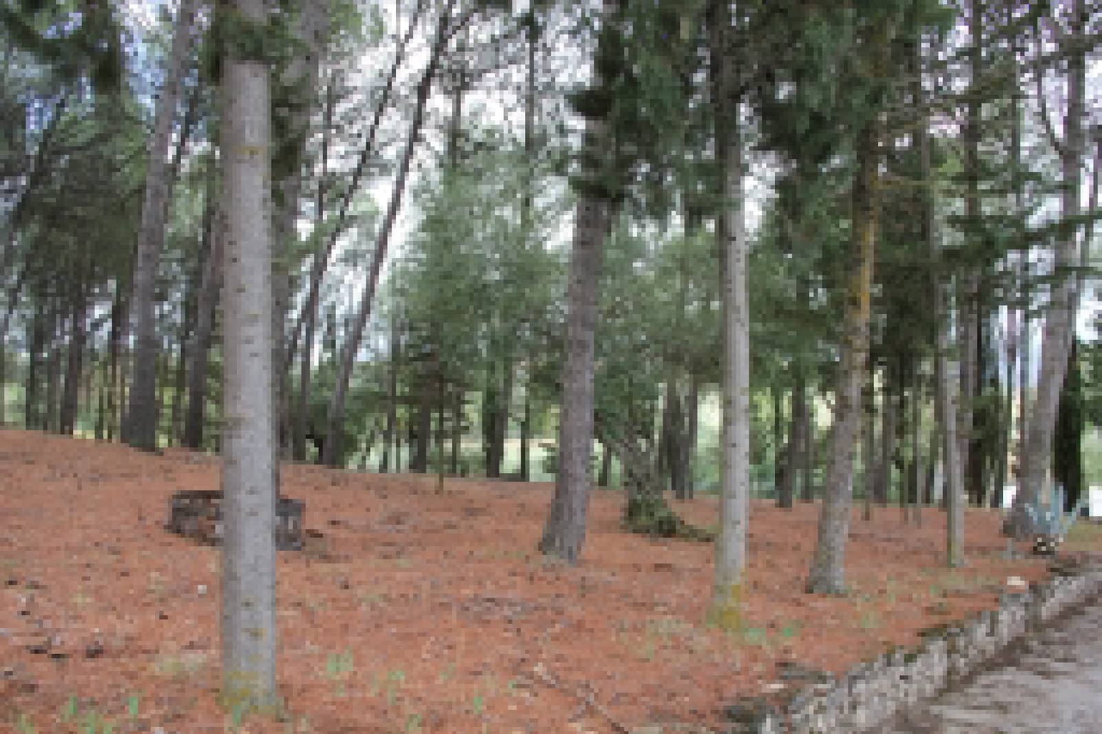 3 bedroom Finca/Country House for sale in Ronda with pool - € 525,000 (Ref: 9685238)