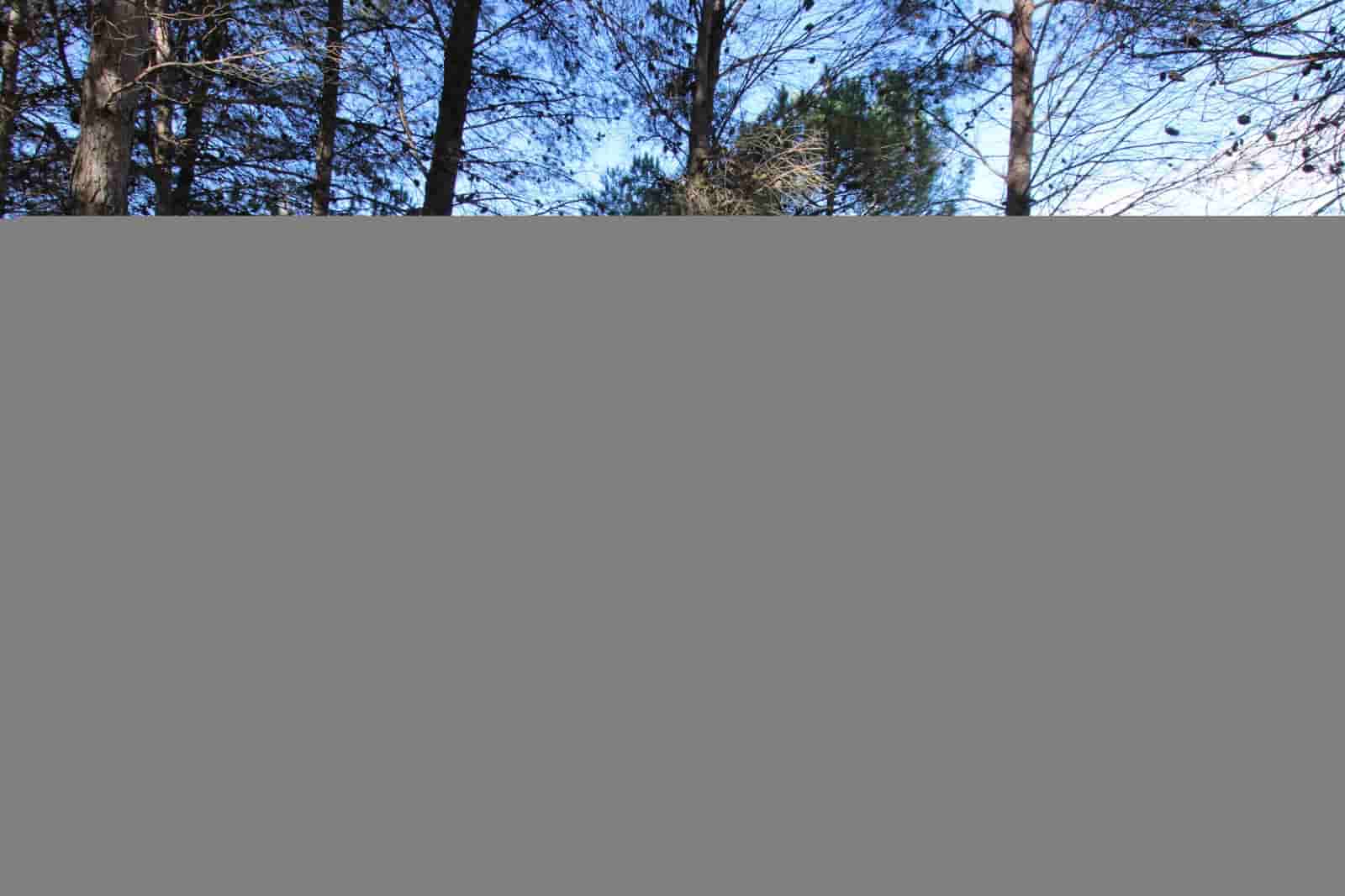 3 bedroom Finca/Country House for sale in Ronda with pool - € 525,000 (Ref: 9685238)