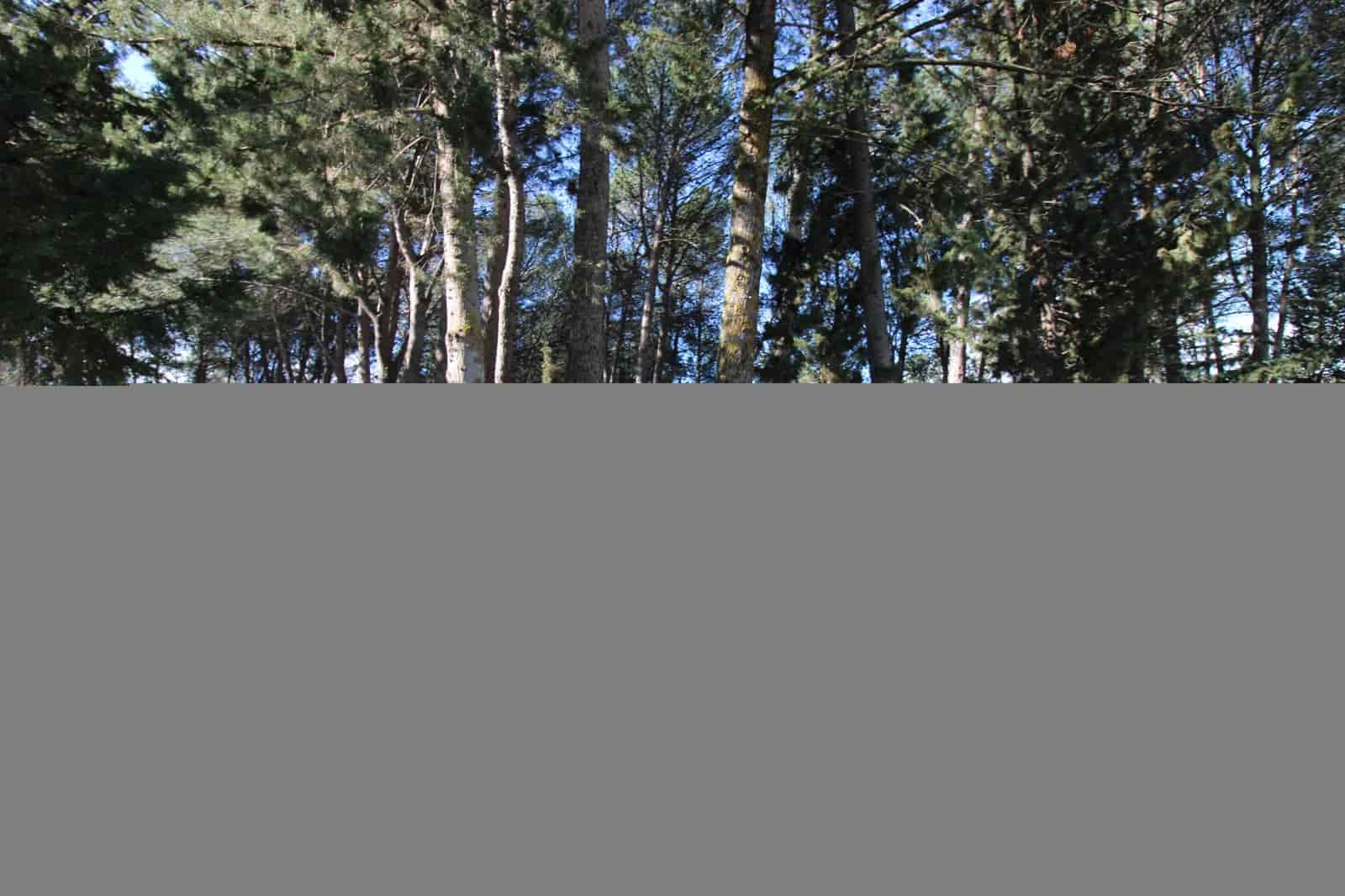 3 bedroom Finca/Country House for sale in Ronda with pool - € 525,000 (Ref: 9685238)