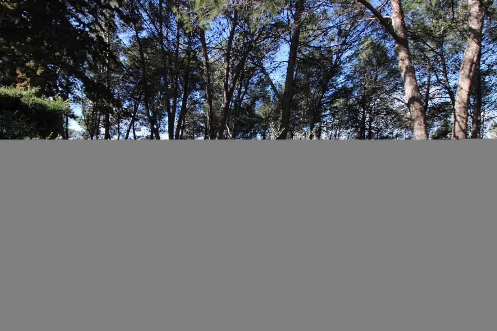 3 bedroom Finca/Country House for sale in Ronda with pool - € 525,000 (Ref: 9685238)