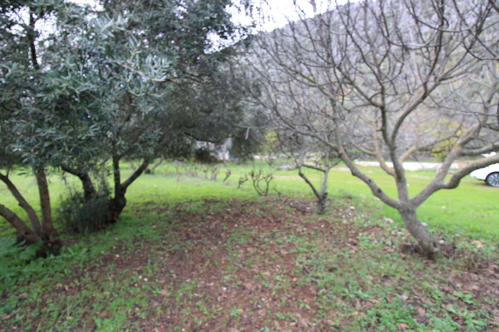 Building Plot for sale in Benaojan - € 295,000 (Ref: 9737116)