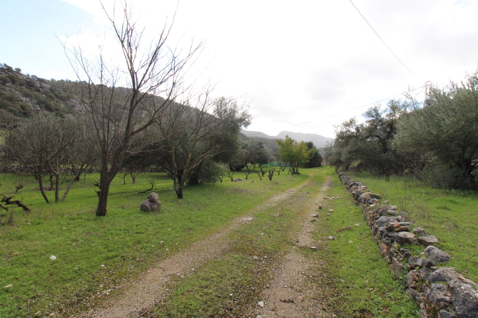 Building Plot for sale in Benaojan - € 295,000 (Ref: 9737116)