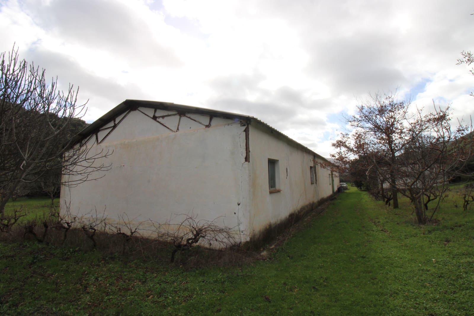 Building Plot for sale in Benaojan - € 295,000 (Ref: 9737116)