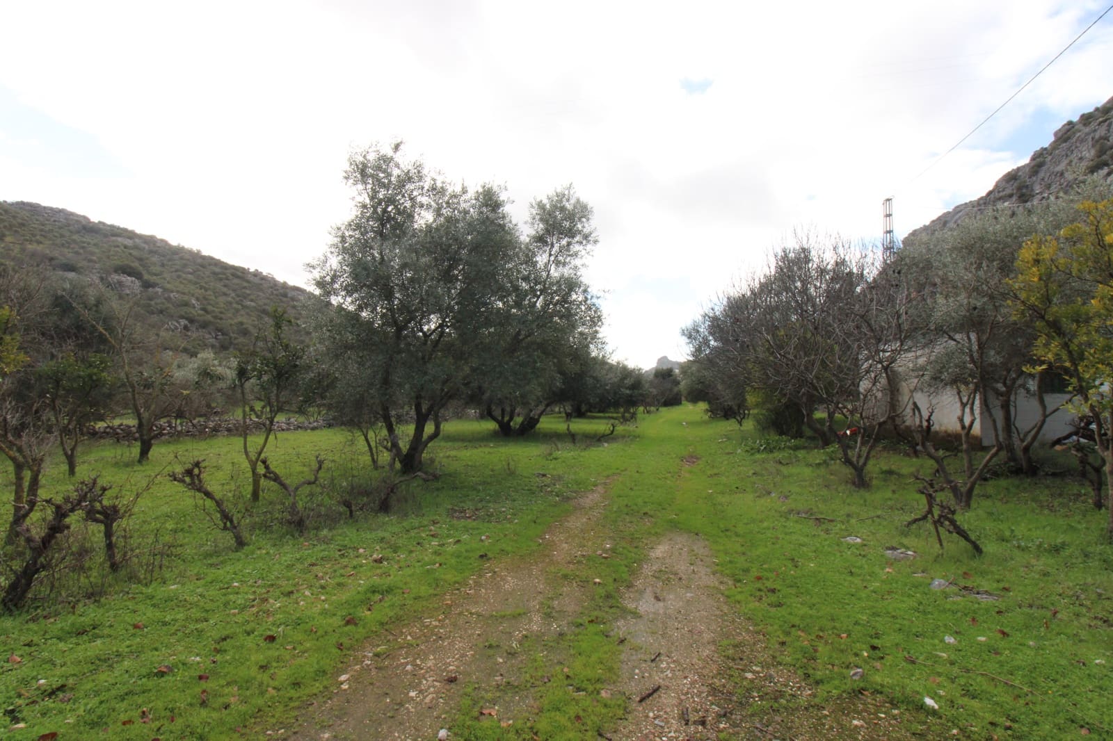 Building Plot for sale in Benaojan - € 295,000 (Ref: 9737116)