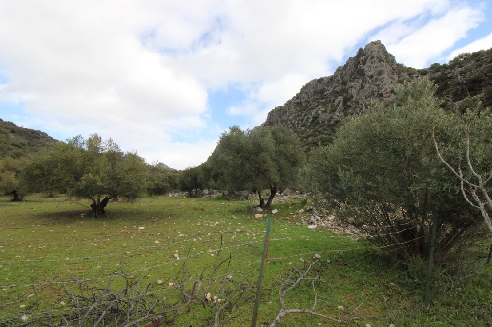 Building Plot for sale in Benaojan - € 295,000 (Ref: 9737116)