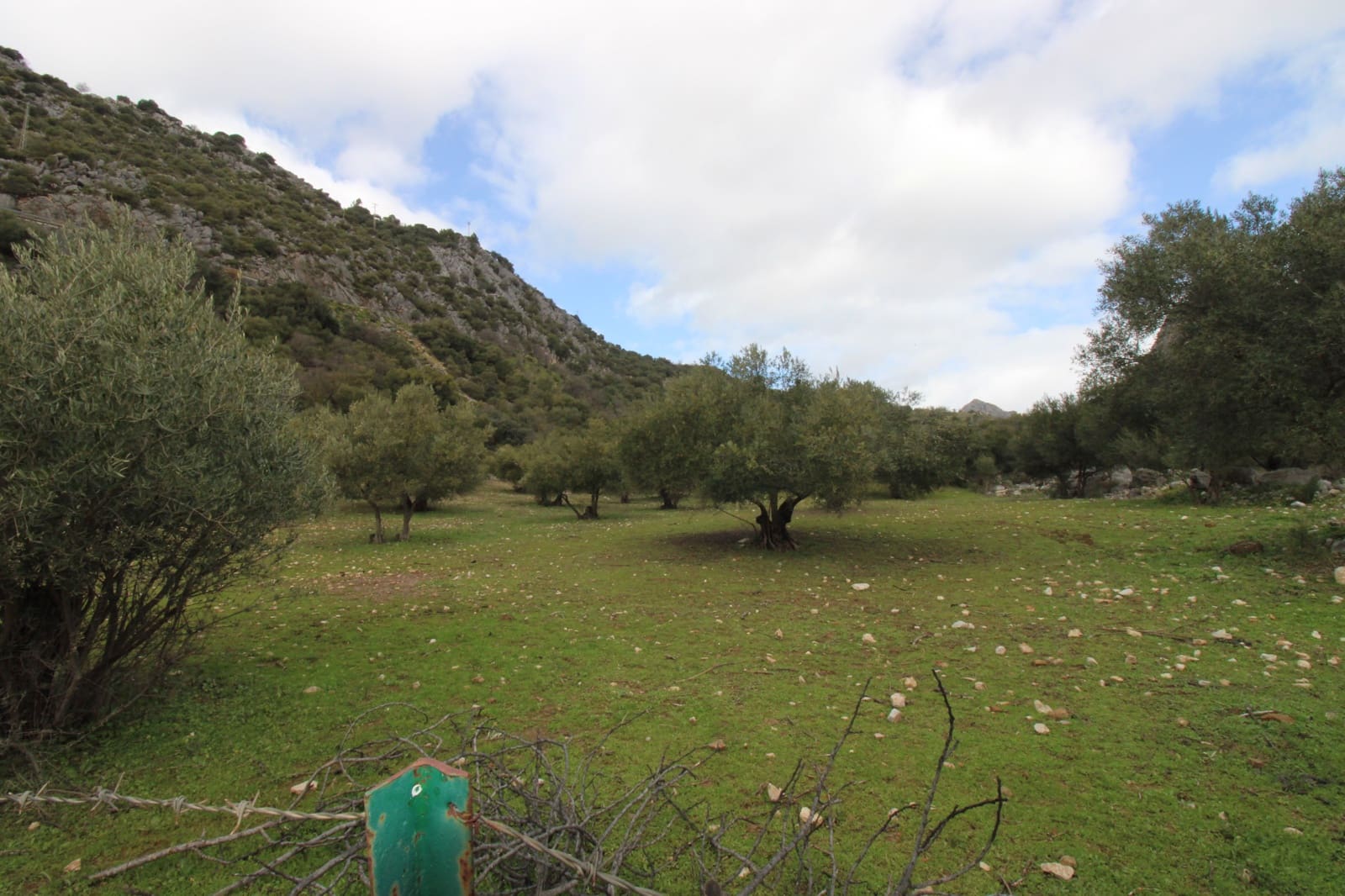 Building Plot for sale in Benaojan - € 295,000 (Ref: 9737116)