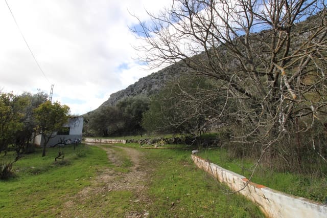 Tomt till salu i Benaoján - 295 000 € (Ref: 9737116)