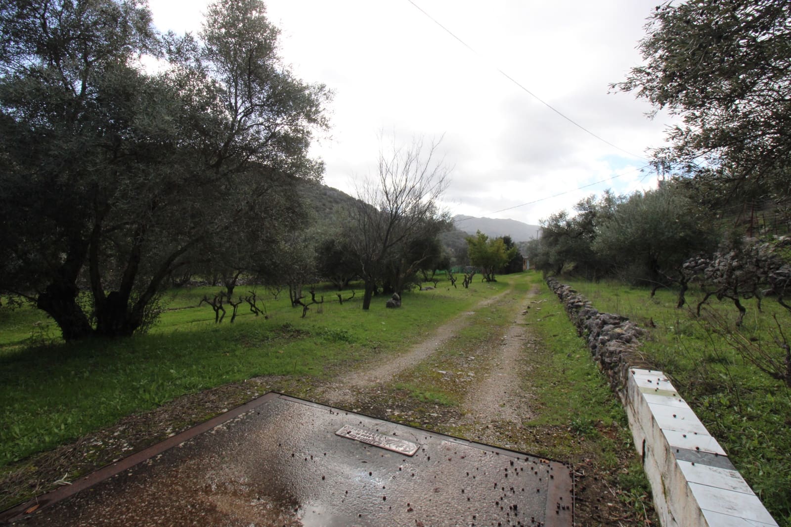 Building Plot for sale in Benaojan - € 295,000 (Ref: 9737116)