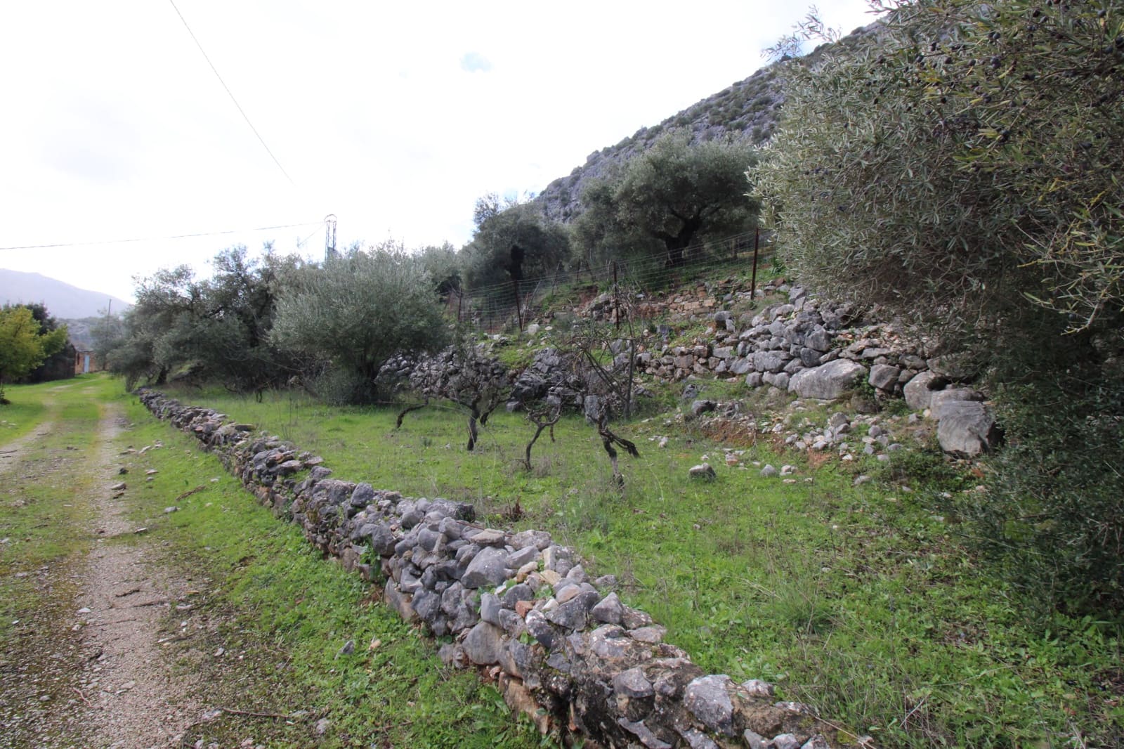 Building Plot for sale in Benaojan - € 295,000 (Ref: 9737116)