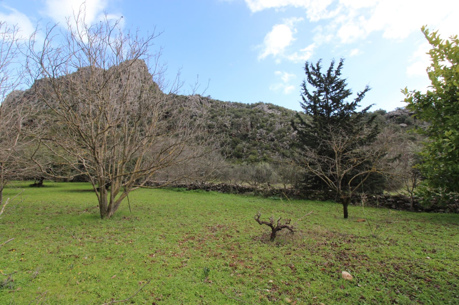 Building Plot for sale in Benaojan - € 295,000 (Ref: 9737116)