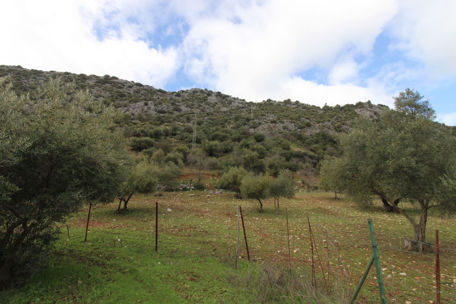 Building Plot for sale in Benaojan - € 295,000 (Ref: 9737116)