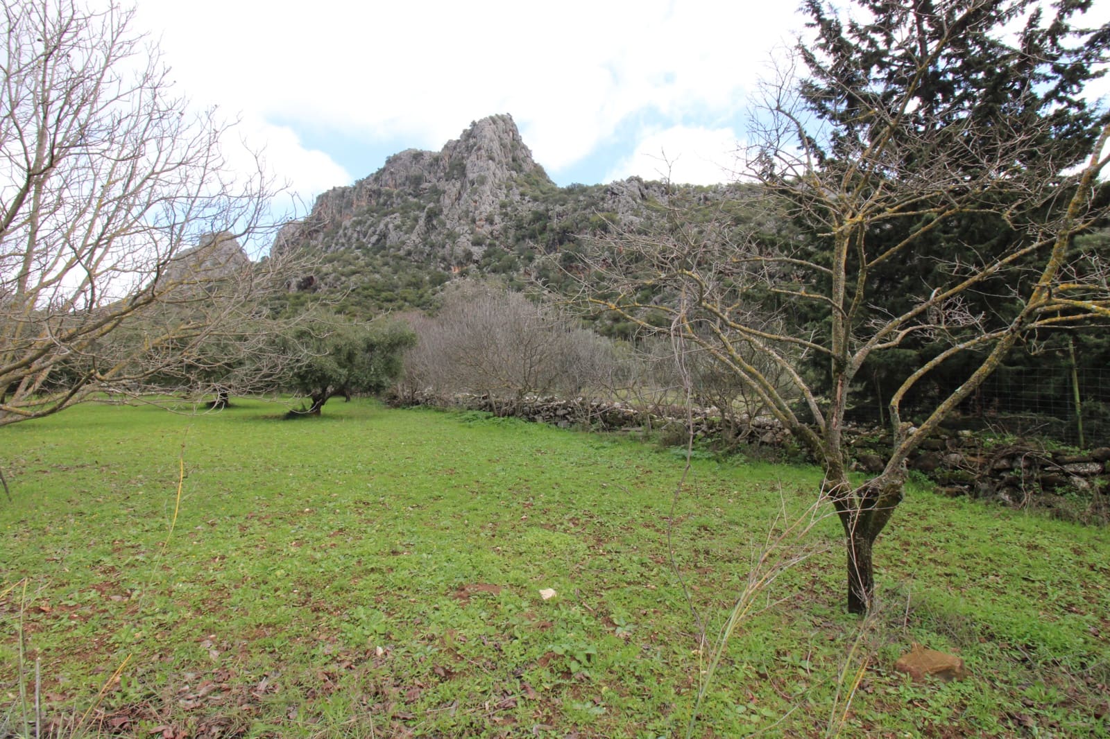 Building Plot for sale in Benaojan - € 295,000 (Ref: 9737116)
