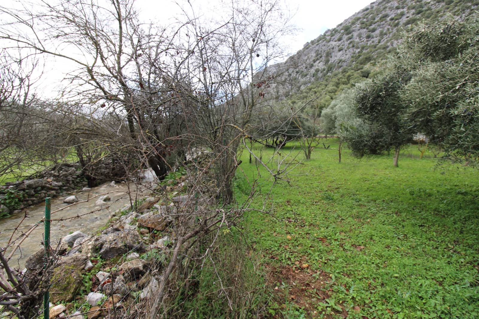 Building Plot for sale in Benaojan - € 295,000 (Ref: 9737116)