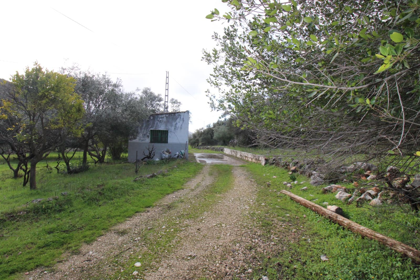 Building Plot for sale in Benaojan - € 295,000 (Ref: 9737116)