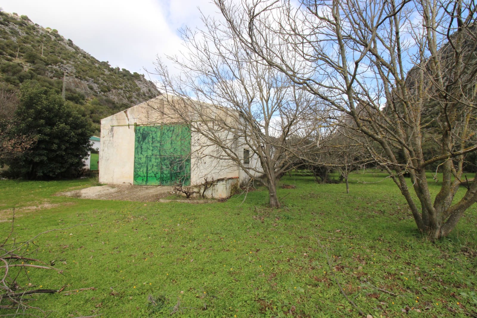 Building Plot for sale in Benaojan - € 295,000 (Ref: 9737116)