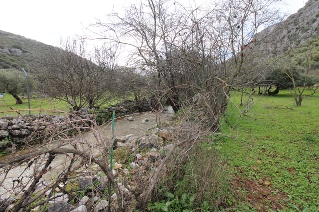 Tomt till salu i Benaoján - 295 000 € (Ref: 9737116)