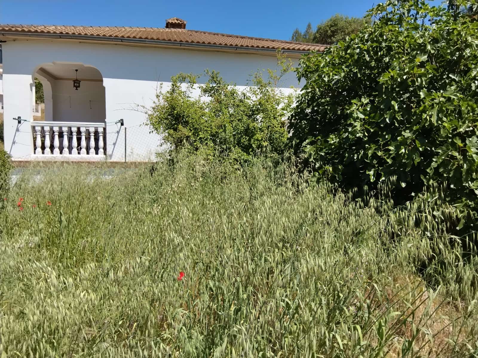 3 bedroom Townhouse for sale in Setenil de las Bodegas - € 150,000 (Ref: 9888428)