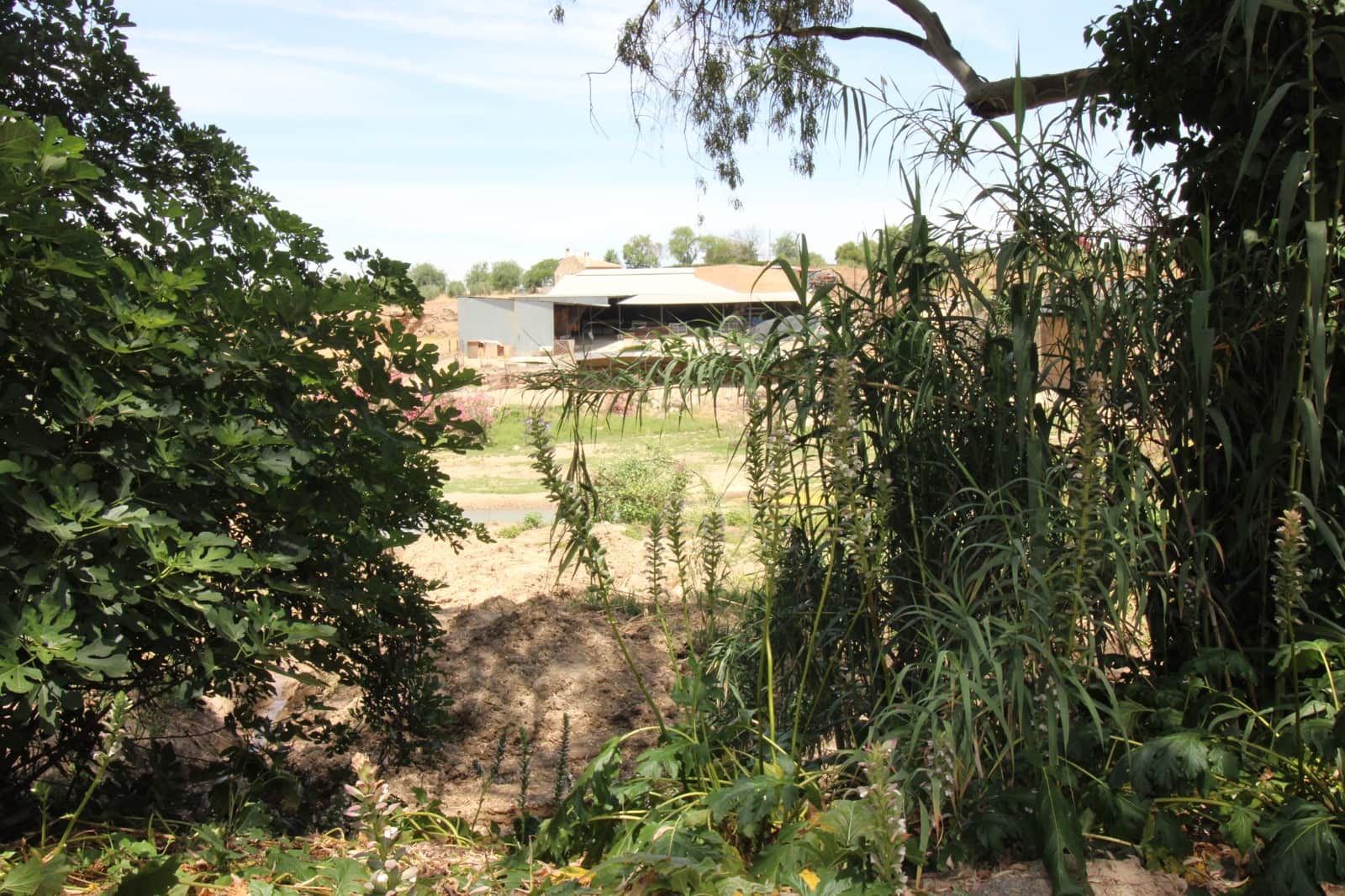 5 bedroom Finca/Country House for sale in Puerto Serrano with pool - € 220,000 (Ref: 9926463)