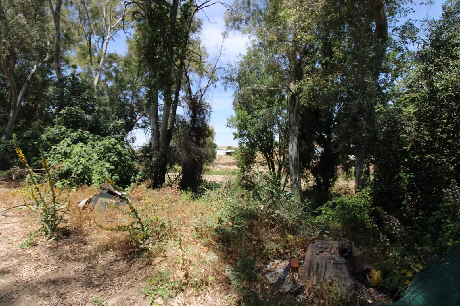 5 bedroom Finca/Country House for sale in Puerto Serrano with pool - € 220,000 (Ref: 9926463)