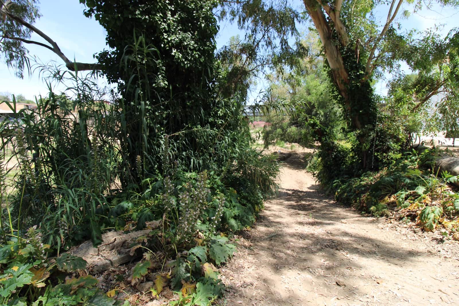 5 bedroom Finca/Country House for sale in Puerto Serrano with pool - € 220,000 (Ref: 9926463)