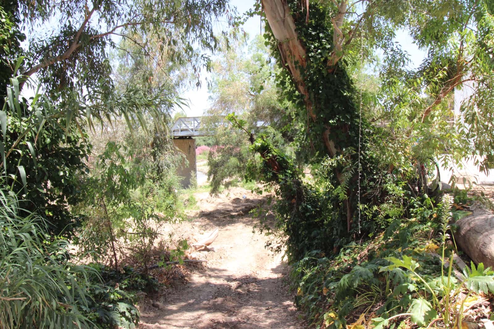 5 bedroom Finca/Country House for sale in Puerto Serrano with pool - € 220,000 (Ref: 9926463)