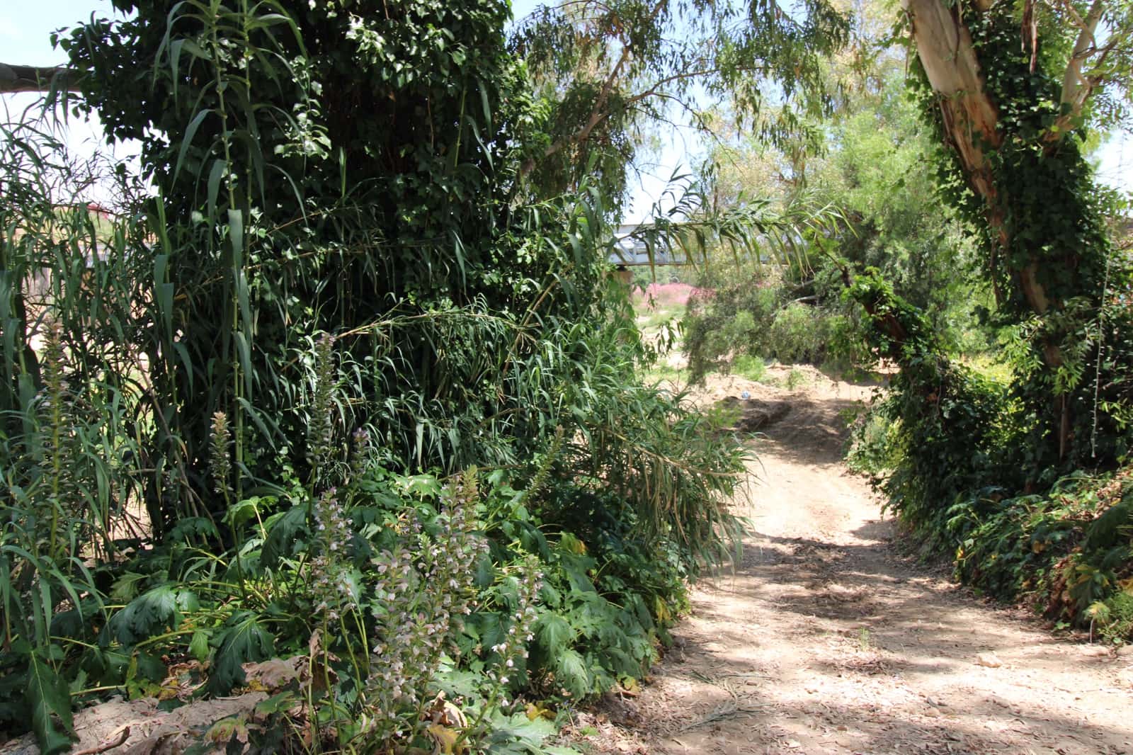 5 bedroom Finca/Country House for sale in Puerto Serrano with pool - € 220,000 (Ref: 9926463)