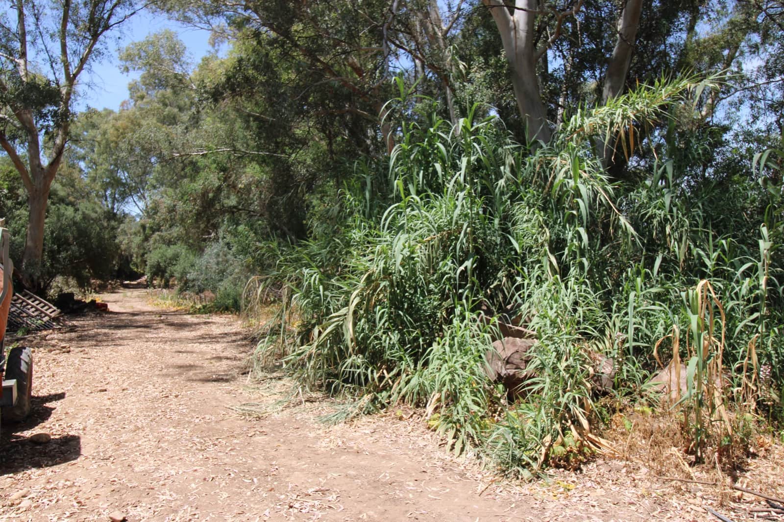 5 bedroom Finca/Country House for sale in Puerto Serrano with pool - € 220,000 (Ref: 9926463)