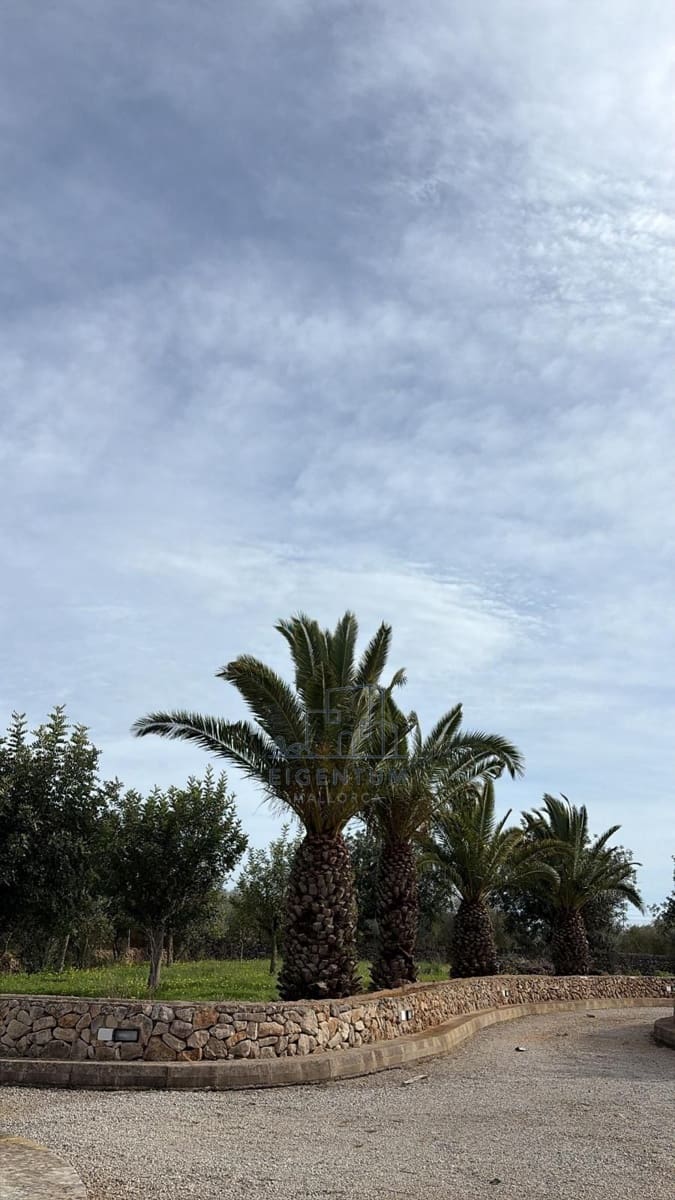 5 soveværelse Finca/Landehus til salg i Manacor med swimmingpool - € 1.970.000 (Ref: 10153709)