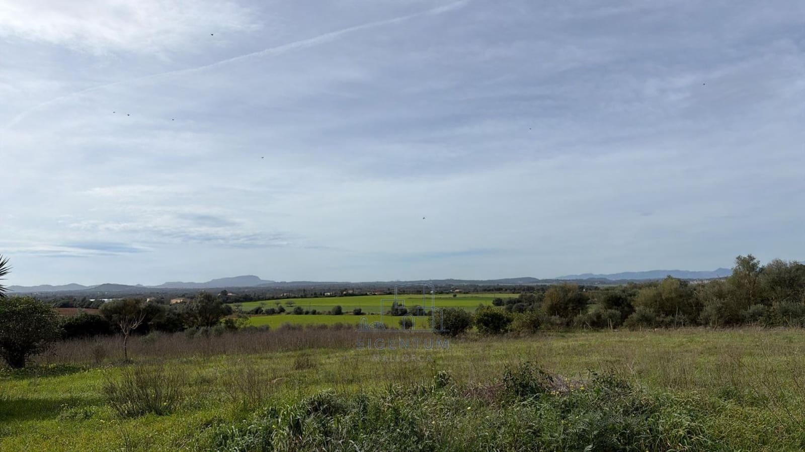 5 soveværelse Finca/Landehus til salg i Manacor med swimmingpool - € 1.970.000 (Ref: 10153709)
