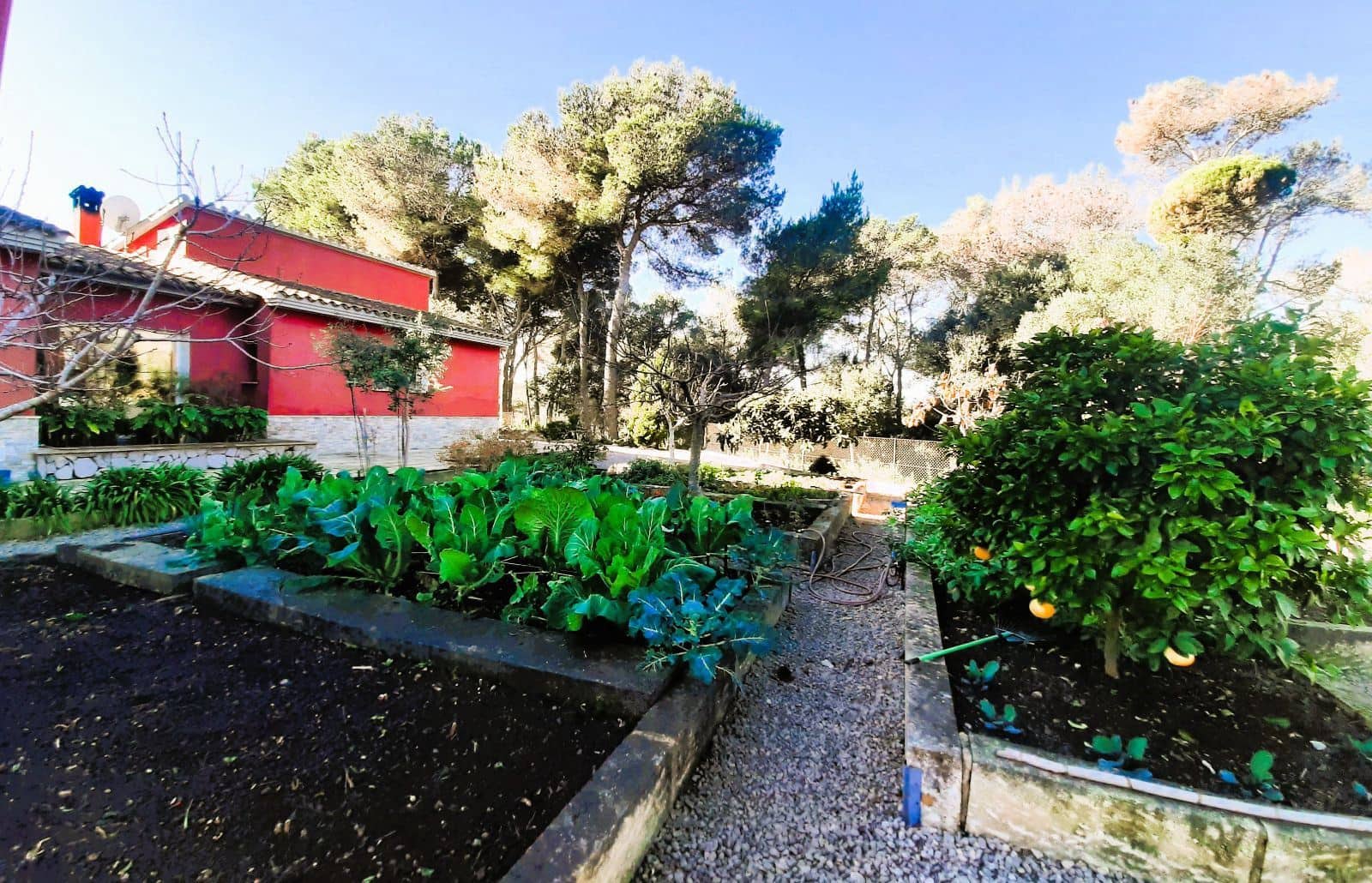 6 Zimmer Finca/Landgut zu verkaufen in Son Servera mit Pool Garage - 2.655.000 € (Ref: 10153721)