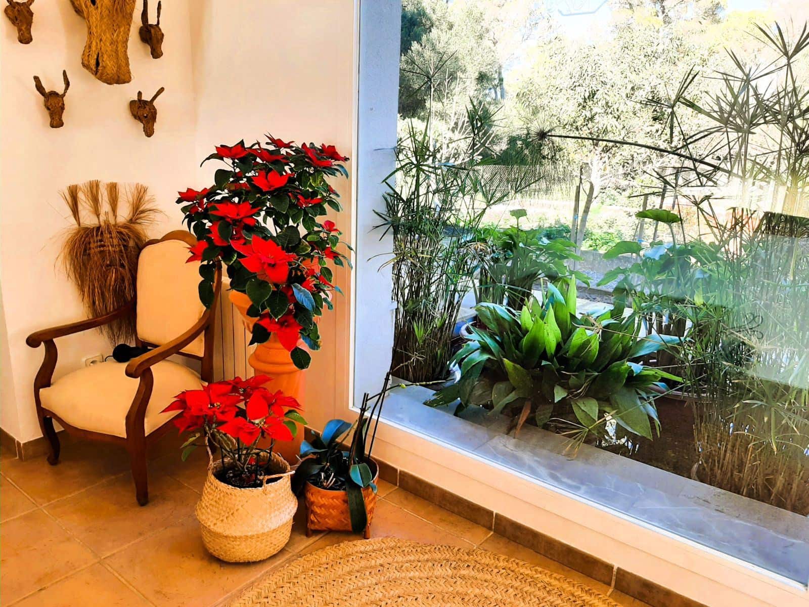 6 Zimmer Finca/Landgut zu verkaufen in Son Servera mit Pool Garage - 2.655.000 € (Ref: 10153721)
