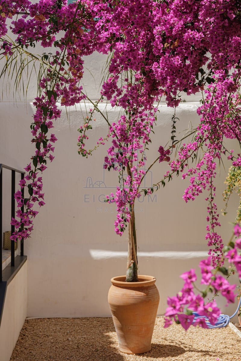 2 bedroom Flat for sale in Palma de Mallorca - € 1,390,000 (Ref: 10153728)