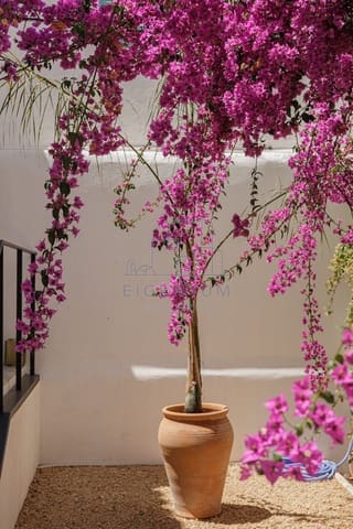 2 soverom Leilighet til salgs i Palma de Mallorca - € 1 390 000 (Ref: 10153728)