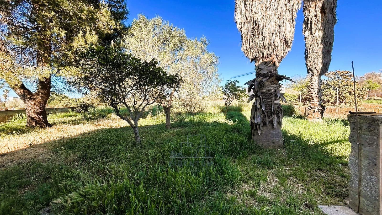 3 chambre Finca/Maison de Campagne à vendre à Manacor avec garage - 470 000 € (Ref: 10158370)