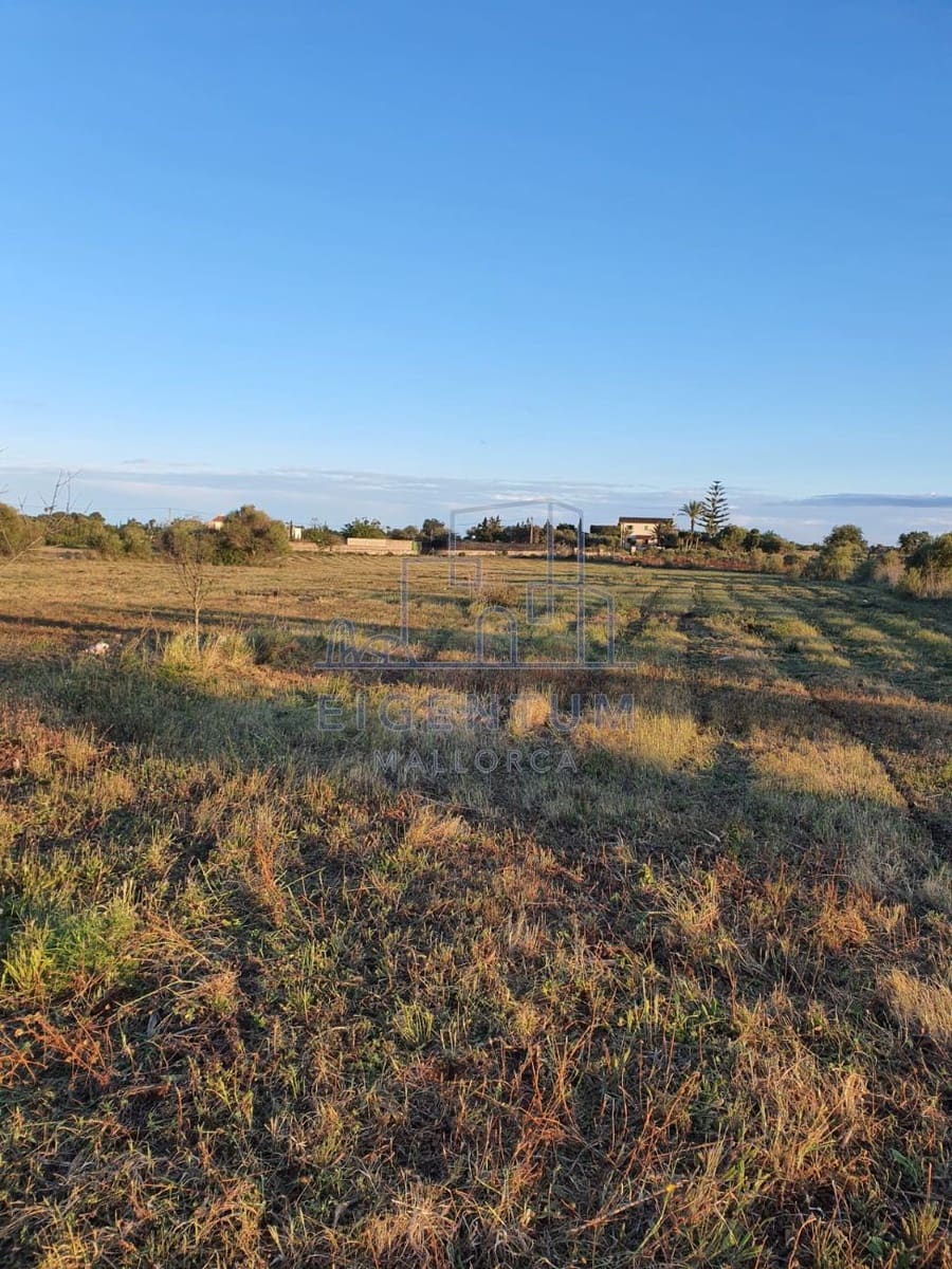 Building Plot for sale in Manacor - € 370,000 (Ref: 10165493)
