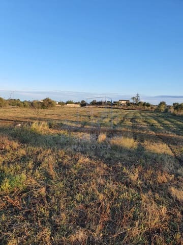 Building Plot for sale in Manacor - € 370,000 (Ref: 10165493)
