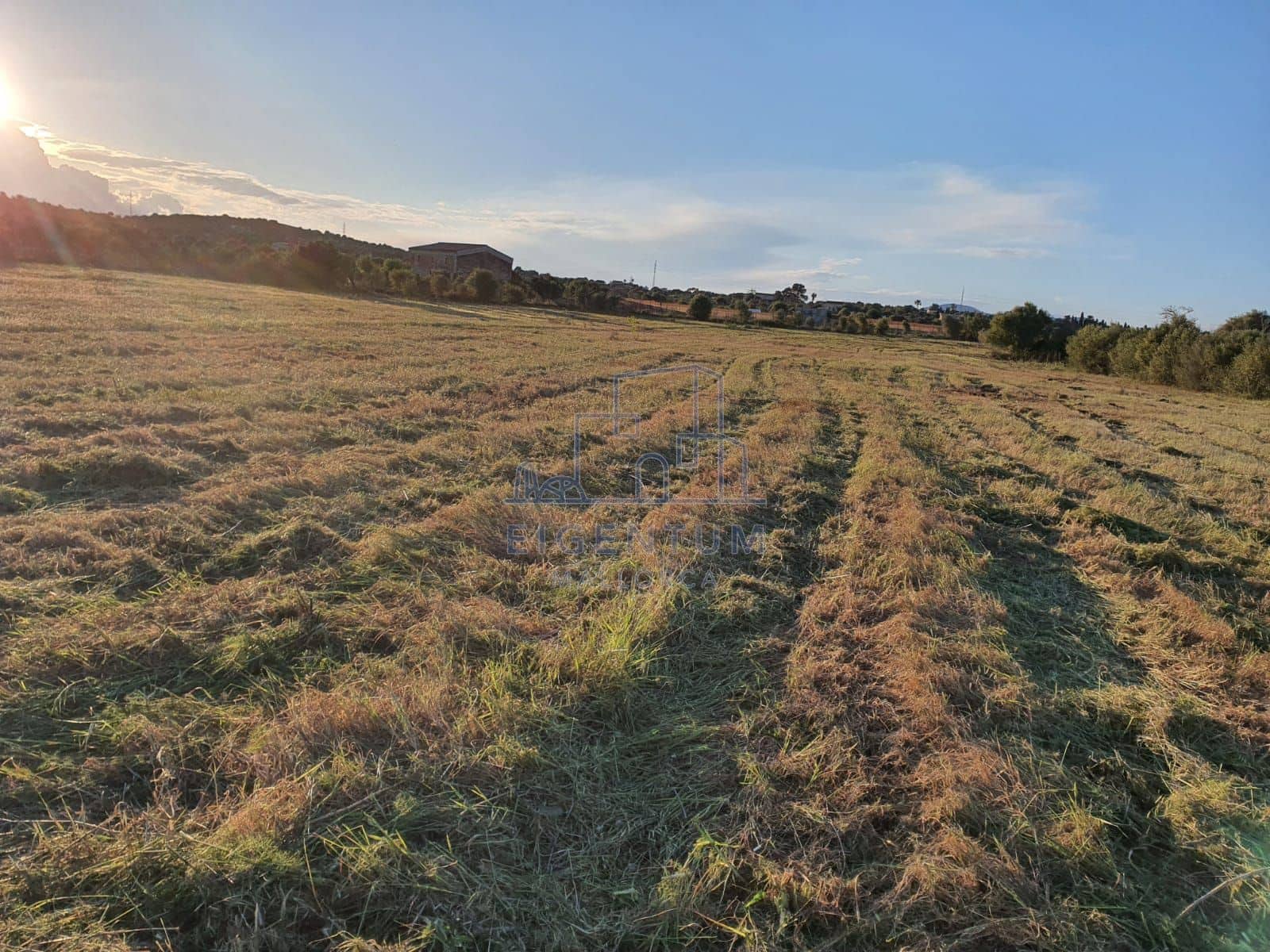 Building Plot for sale in Manacor - € 370,000 (Ref: 10165493)