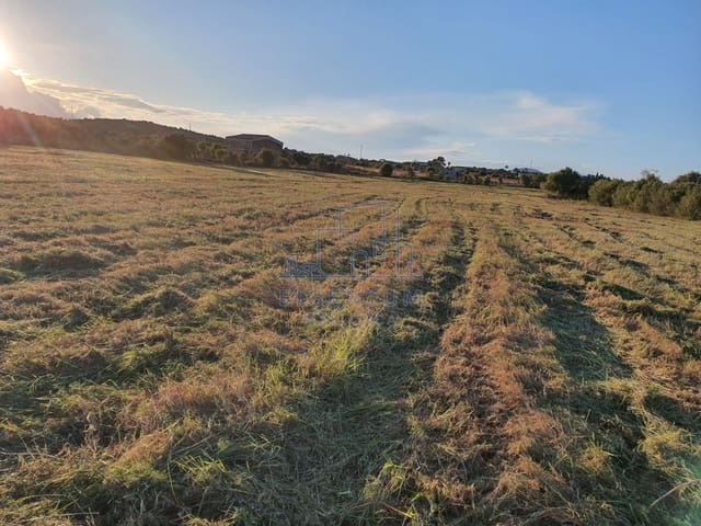 Building Plot for sale in Manacor - € 370,000 (Ref: 10165493)