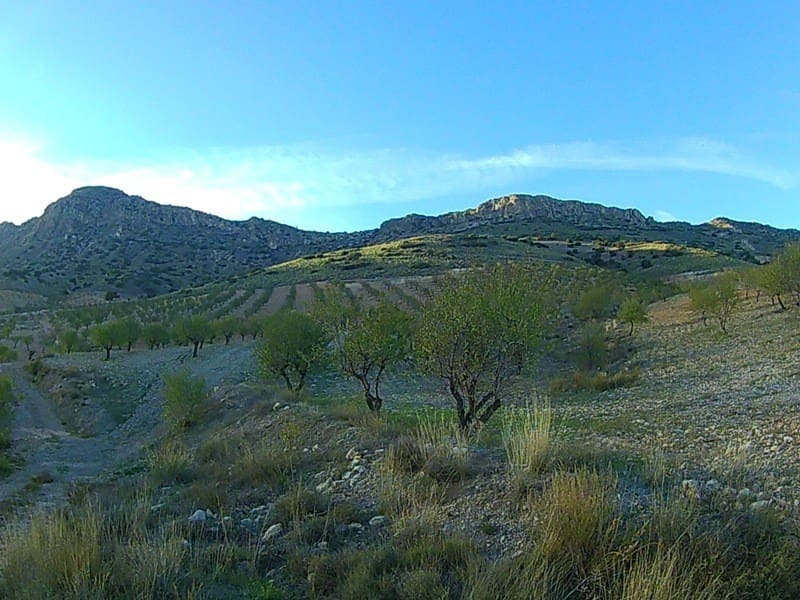 Finca/Landhuis te koop in Saliente Alto - € 198.000 (Ref: 4304573)