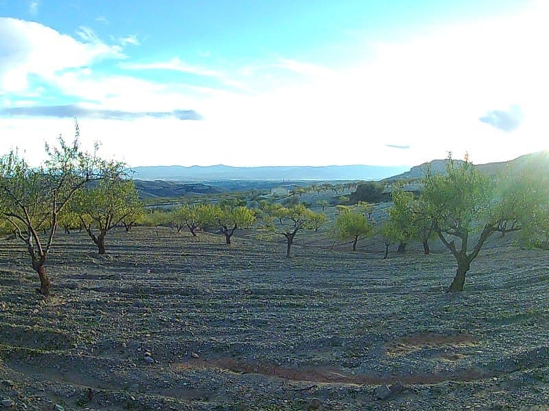 Finca/Landhuis te koop in Saliente Alto - € 198.000 (Ref: 4304573)