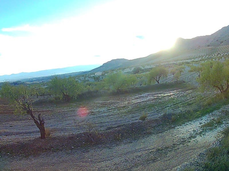 Finca/Landhuis te koop in Saliente Alto - € 198.000 (Ref: 4304573)