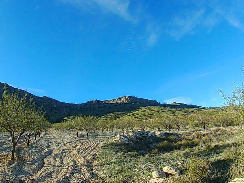 Finca/Landhuis te koop in Saliente Alto - € 198.000 (Ref: 4304573)