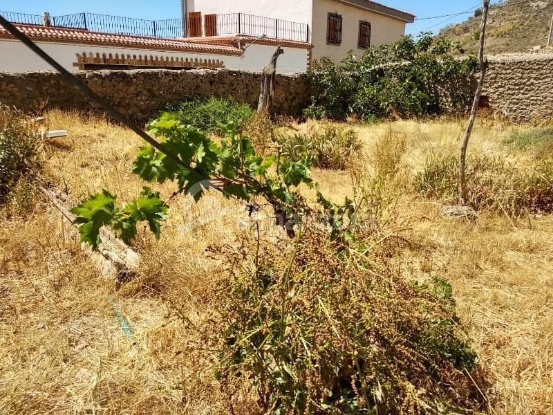 5 makuuhuone Omakotitalo myytävänä paikassa Oria - 89 000 € (Ref: 4756829)