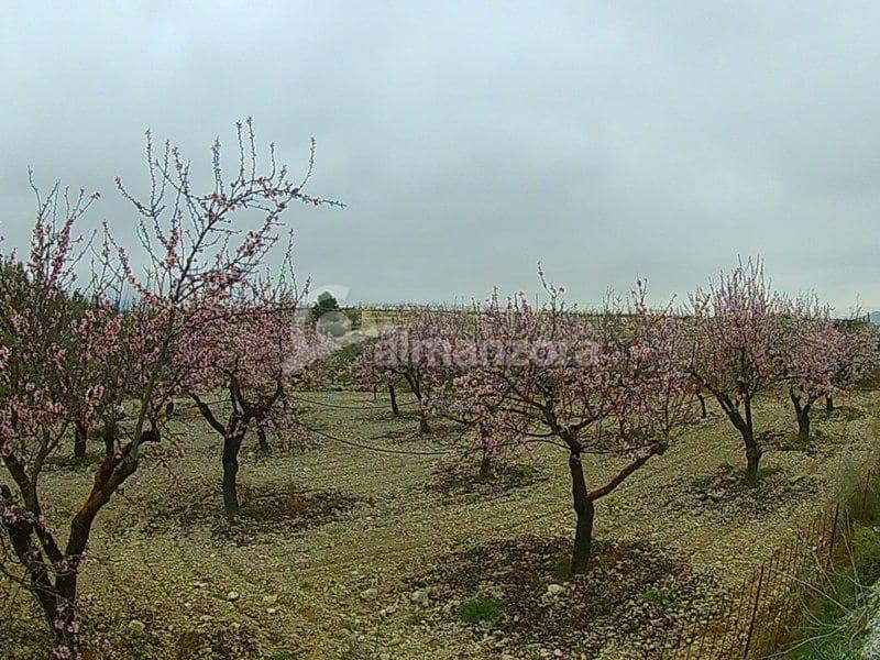 3 soveværelse Finca/Landehus til salg i Purchena - € 180.000 (Ref: 5110827)