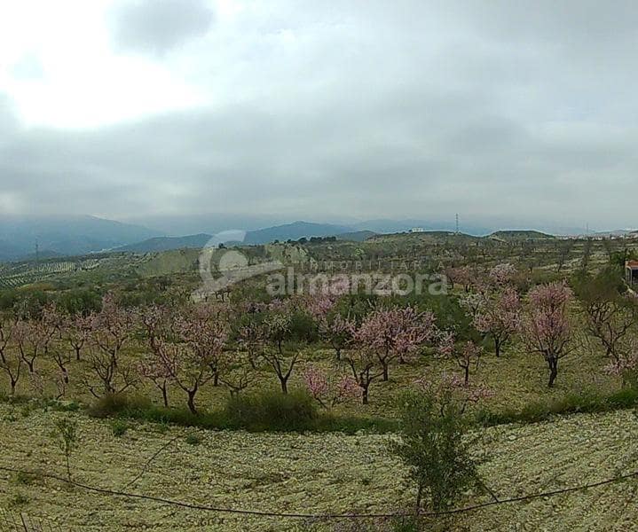 3 soveværelse Finca/Landehus til salg i Purchena - € 180.000 (Ref: 5110827)