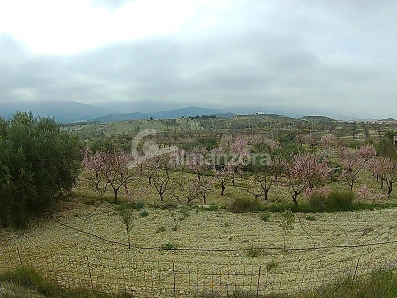 3 soveværelse Finca/Landehus til salg i Purchena - € 180.000 (Ref: 5110827)