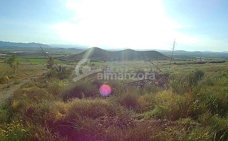 Maalaistalo myytävänä paikassa Lorca - 125 000 € (Ref: 5572595)